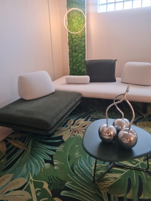 Prado associé à Murtoli intérieur et extérieur chez Inove Avignon